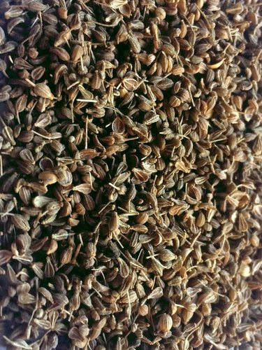 Anis, ganz (Pimpinella anisum) 1  kg