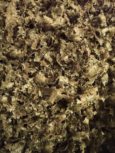 Hanfflocken (1,5kg Hanfkuchen)