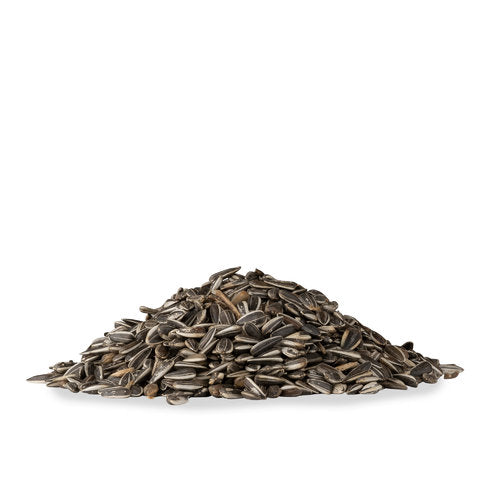 Sonnenblumenkerne, ungeschält, ganz 4 kg