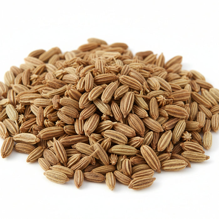 Fenchelsamen braun bitter 1kg - Futtermittel für Pferde bieroz.shop